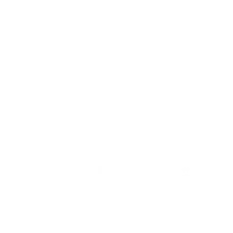 lamiz logo